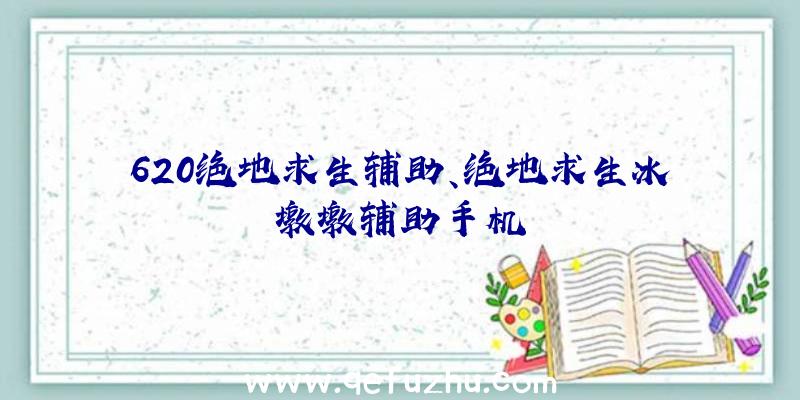 620绝地求生辅助、绝地求生冰墩墩辅助手机