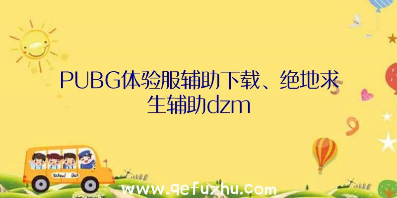 PUBG体验服辅助下载、绝地求生辅助dzm