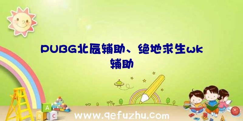 PUBG北辰辅助、绝地求生wk辅助