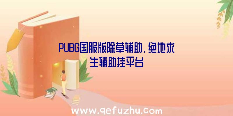 PUBG国服版除草辅助、绝地求生辅助挂平台