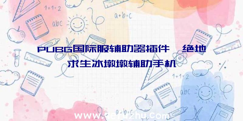 PUBG国际服辅助器插件、绝地求生冰墩墩辅助手机