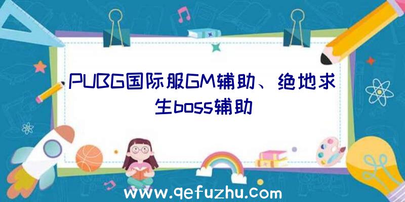 PUBG国际服GM辅助、绝地求生boss辅助