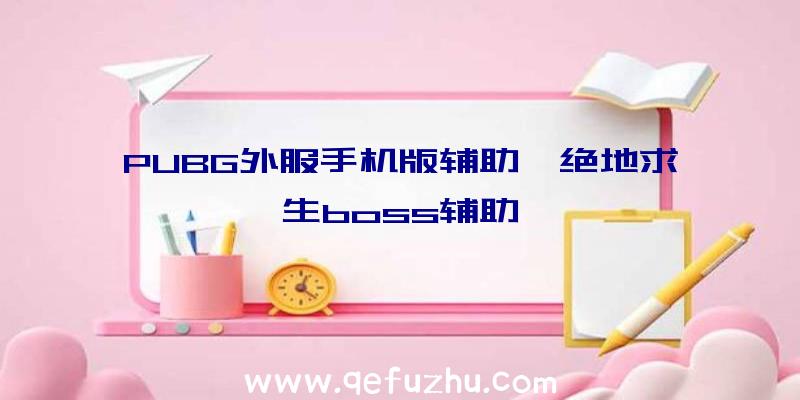 PUBG外服手机版辅助、绝地求生boss辅助