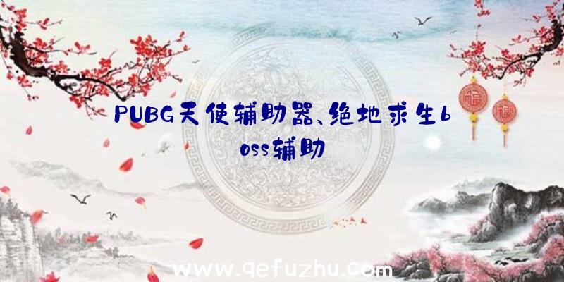 PUBG天使辅助器、绝地求生boss辅助