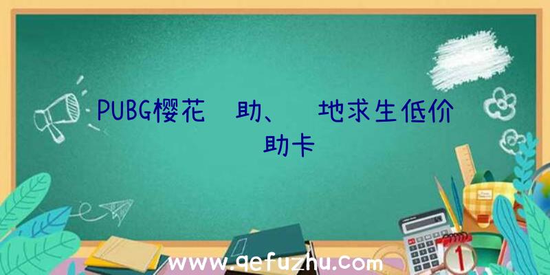 PUBG樱花辅助、绝地求生低价辅助卡