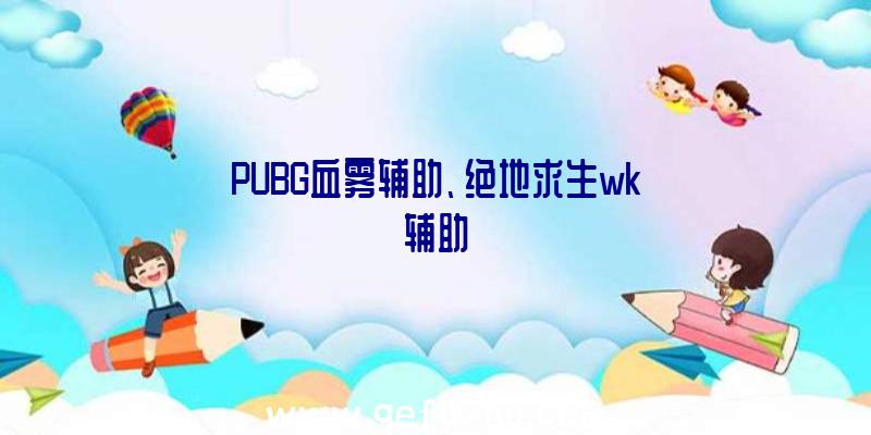 PUBG血雾辅助、绝地求生wk辅助