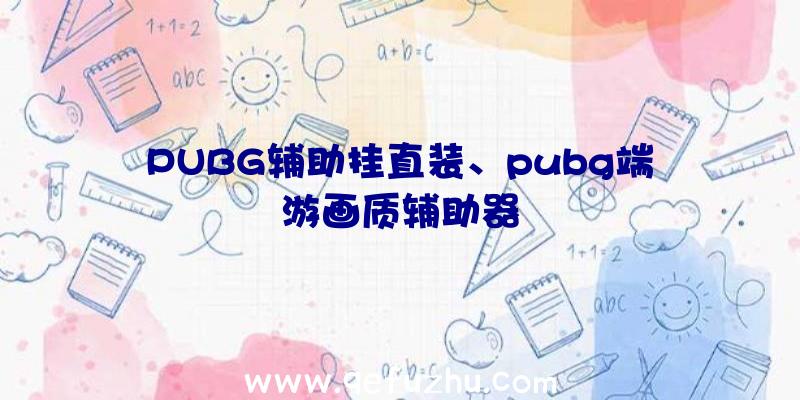 PUBG辅助挂直装、pubg端游画质辅助器