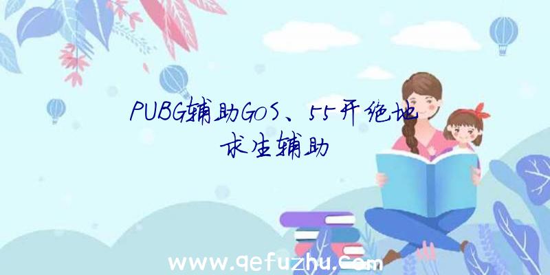 PUBG辅助GoS、55开绝地求生辅助