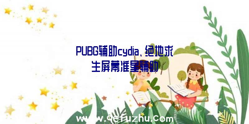 PUBG辅助cydia、绝地求生屏幕准星辅助