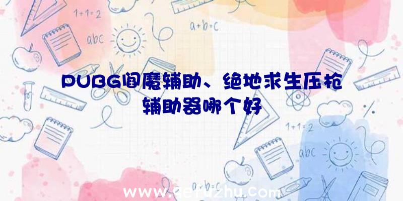 PUBG阎魔辅助、绝地求生压枪辅助器哪个好