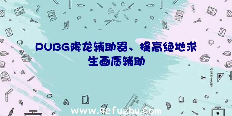 PUBG降龙辅助器、提高绝地求生画质辅助