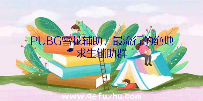 PUBG雪花辅助、最流行的绝地求生辅助群