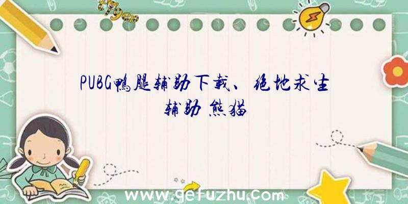 PUBG鸭腿辅助下载、绝地求生辅助