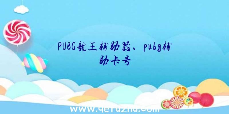 PUBG龙王辅助器、pubg辅助卡号