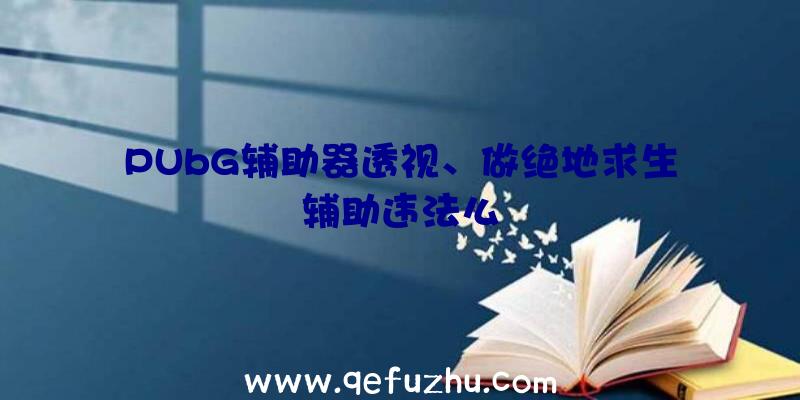 PUbG辅助器透视、做绝地求生辅助违法么