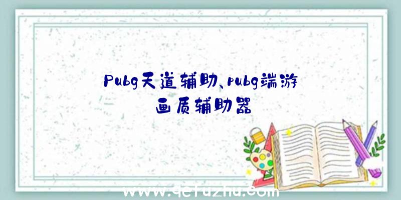 Pubg天道辅助、pubg端游画质辅助器