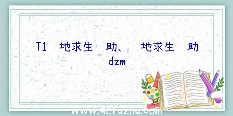 T1绝地求生辅助、绝地求生辅助dzm