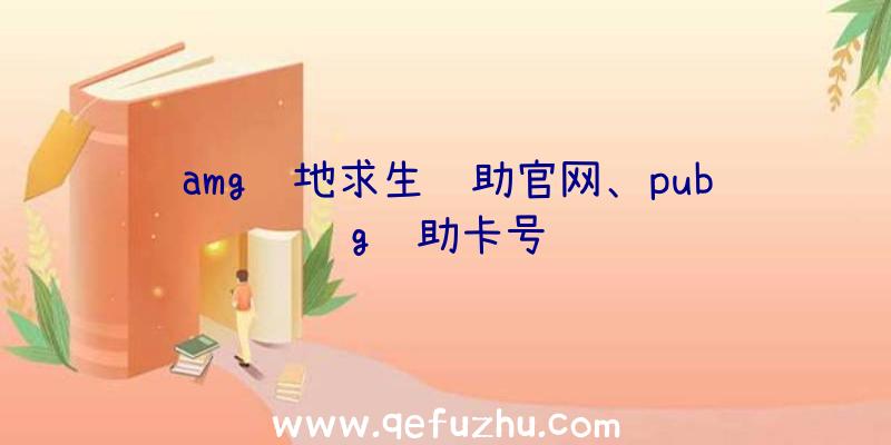 amg绝地求生辅助官网、pubg辅助卡号