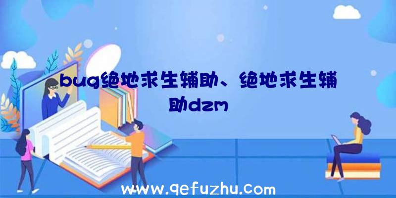 bug绝地求生辅助、绝地求生辅助dzm