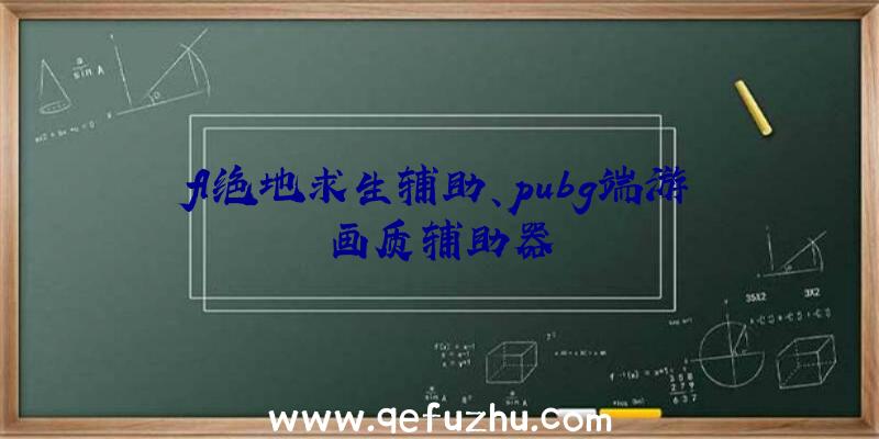 fl绝地求生辅助、pubg端游画质辅助器