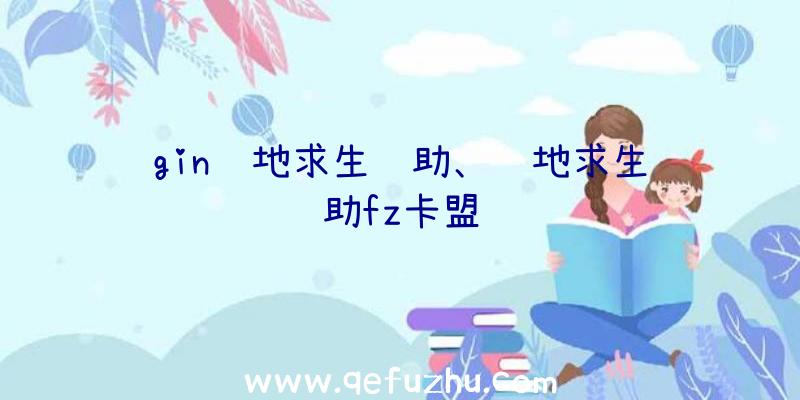 gin绝地求生辅助、绝地求生辅助fz卡盟