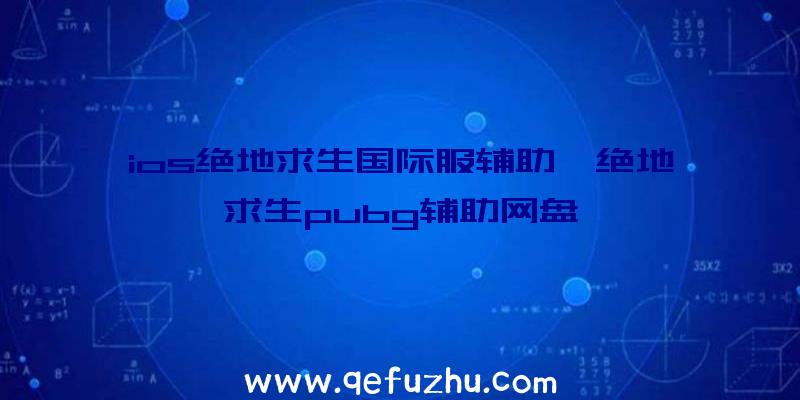 ios绝地求生国际服辅助、绝地求生pubg辅助网盘