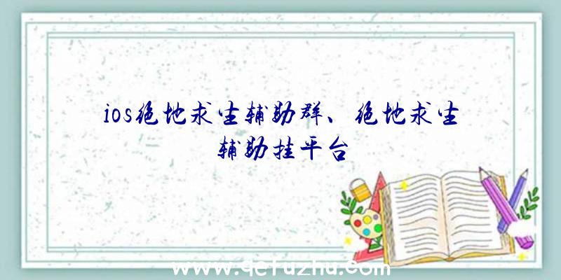 ios绝地求生辅助群、绝地求生辅助挂平台