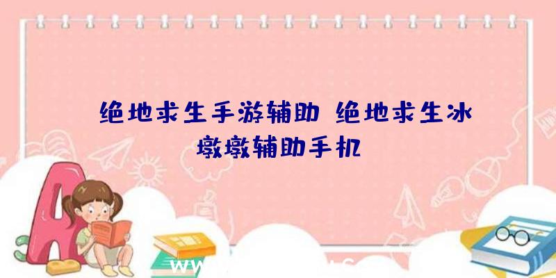 j绝地求生手游辅助、绝地求生冰墩墩辅助手机