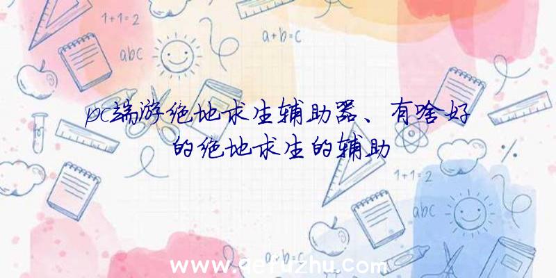 pc端游绝地求生辅助器、有啥好的绝地求生的辅助