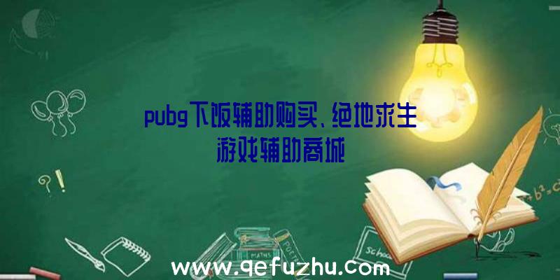 pubg下饭辅助购买、绝地求生游戏辅助商城