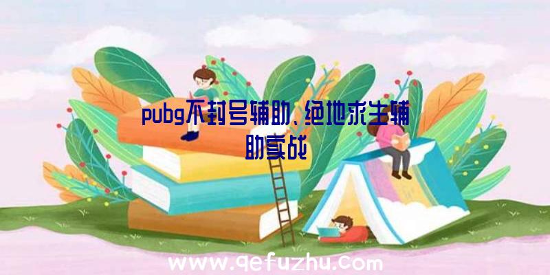 pubg不封号辅助、绝地求生辅助实战