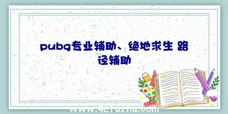 pubg专业辅助、绝地求生