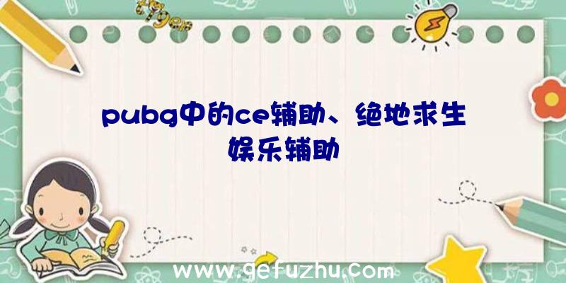 pubg中的ce辅助、绝地求生娱乐辅助