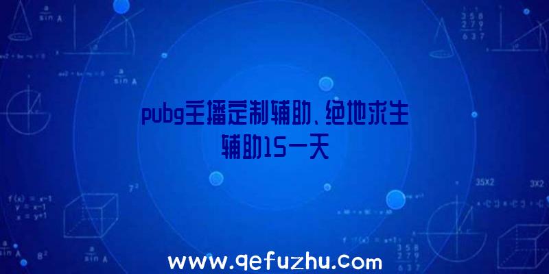 pubg主播定制辅助、绝地求生辅助15一天