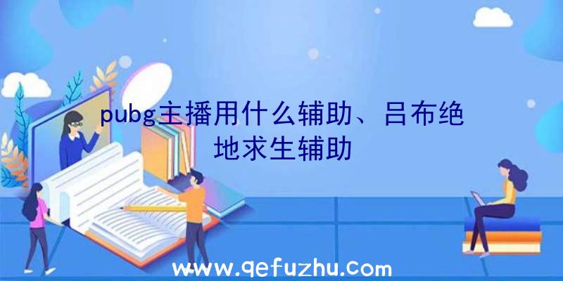 pubg主播用什么辅助、吕布绝地求生辅助