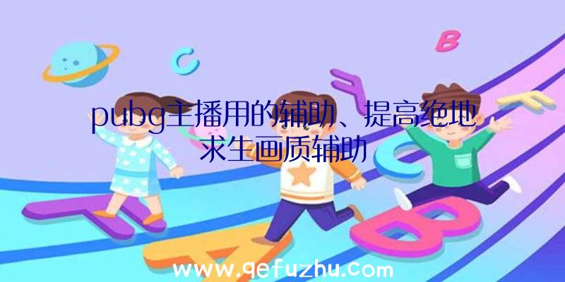 pubg主播用的辅助、提高绝地求生画质辅助