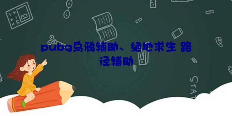 pubg乌鸦辅助、绝地求生