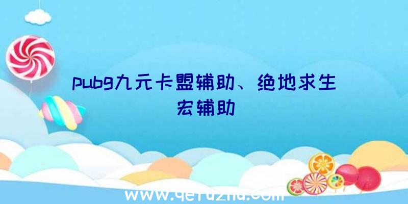 pubg九元卡盟辅助、绝地求生宏辅助