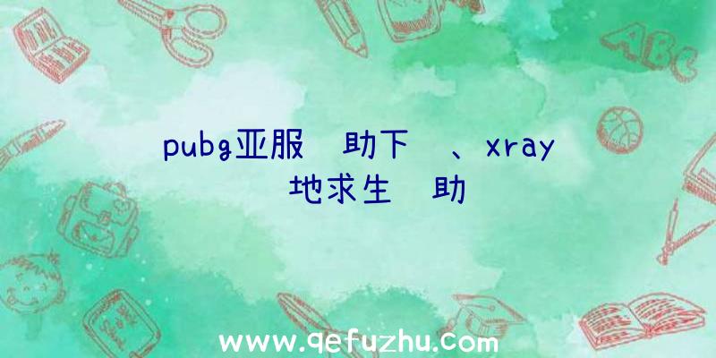 pubg亚服辅助下载、xray绝地求生辅助