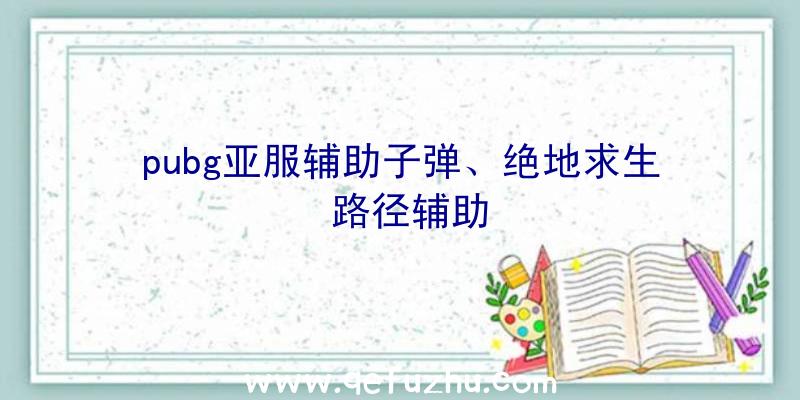 pubg亚服辅助子弹、绝地求生