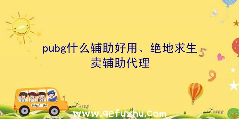 pubg什么辅助好用、绝地求生卖辅助代理