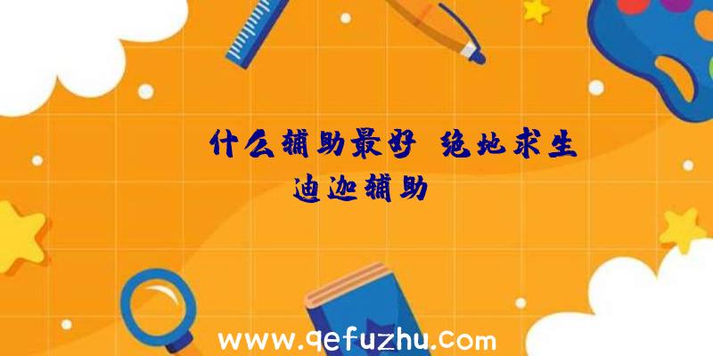 pubg什么辅助最好、绝地求生迪迦辅助