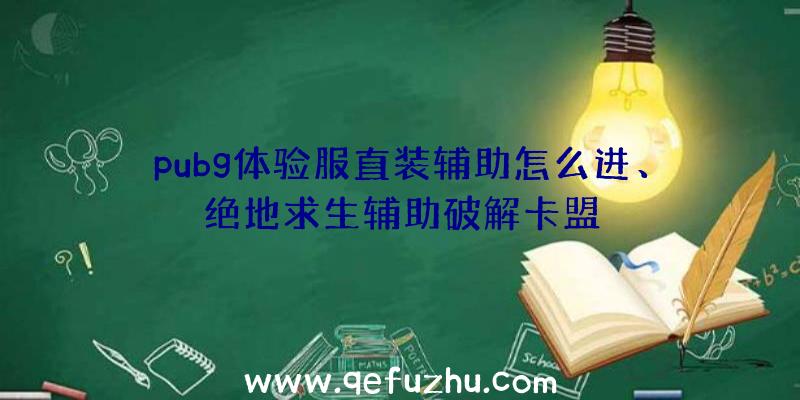 pubg体验服直装辅助怎么进、绝地求生辅助破解卡盟