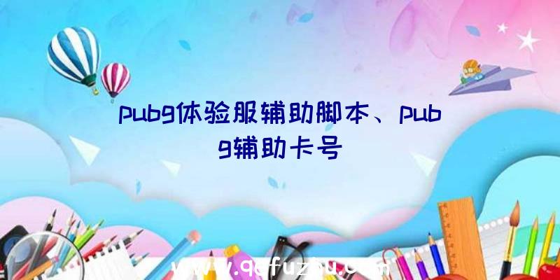 pubg体验服辅助脚本、pubg辅助卡号