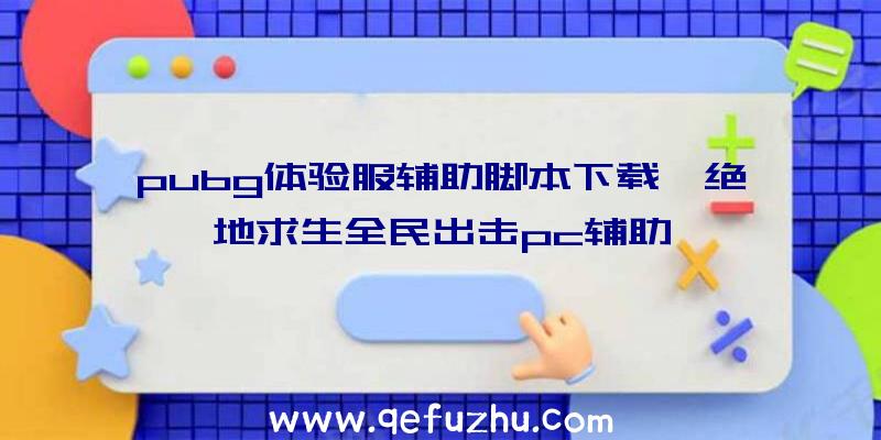 pubg体验服辅助脚本下载、绝地求生全民出击pc辅助