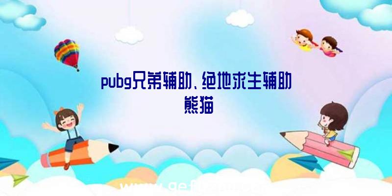 pubg兄弟辅助、绝地求生辅助