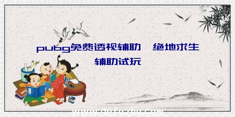 pubg免费透视辅助、绝地求生辅助试玩