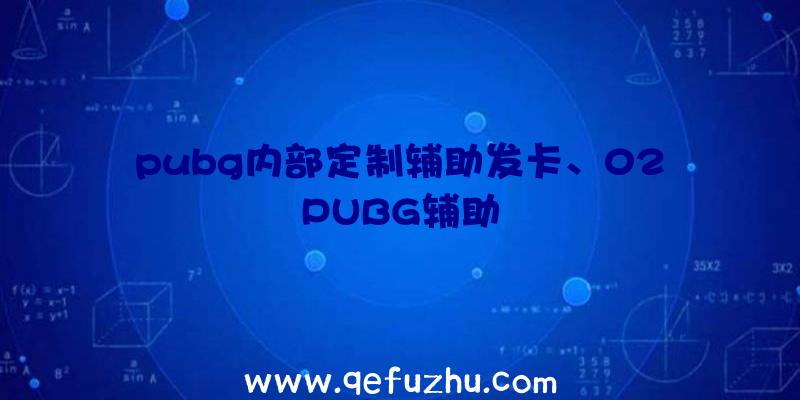 pubg内部定制辅助发卡、02PUBG辅助