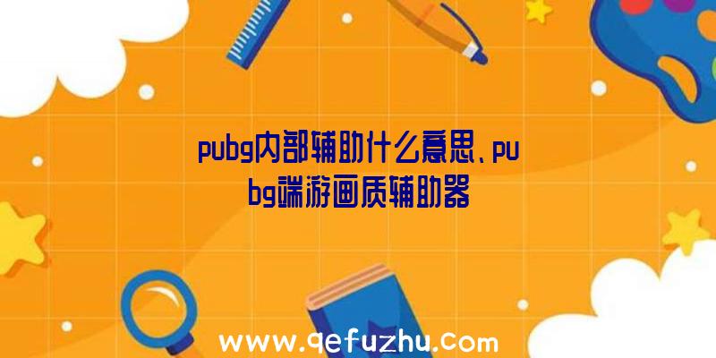 pubg内部辅助什么意思、pubg端游画质辅助器