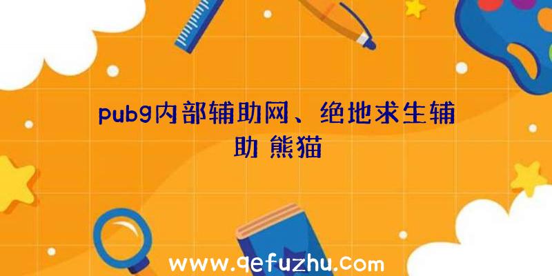 pubg内部辅助网、绝地求生辅助